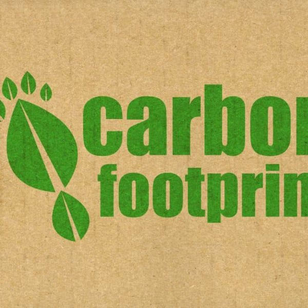 Eco-Friendly Home: Simple Swaps to Reduce Your Carbon Footprint