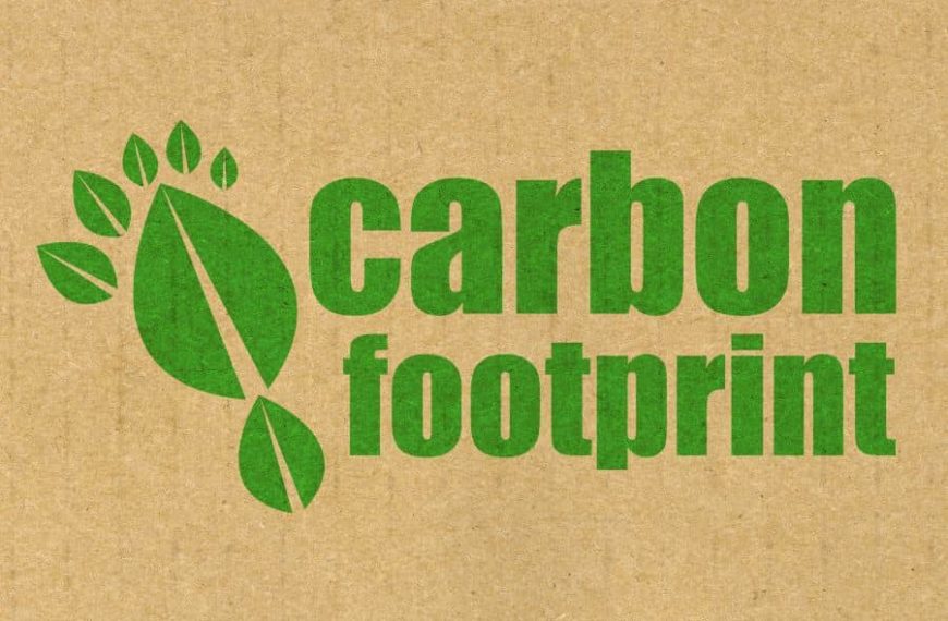 Eco-Friendly Home: Simple Swaps to Reduce Your Carbon Footprint